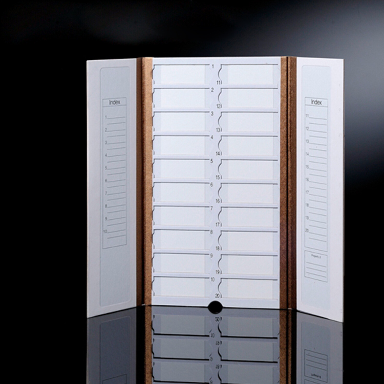 Biologix® Histology Mailer Box, Case of 40