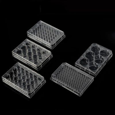 Multi well Culture Plate, TC Treated, with lid, flat-bottom, Sterile to SAL 10-6, Domestic raw materials, DNase &amp; RNase free