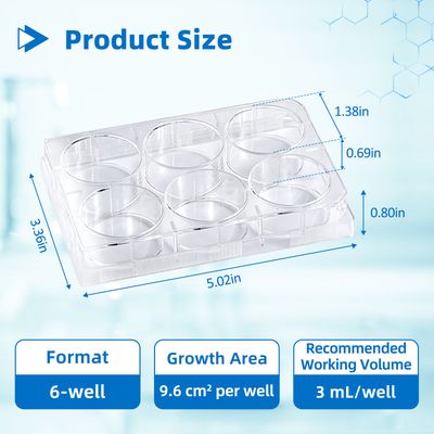 Multi well Culture Plate, TC Treated, with lid, flat-bottom, Sterile to SAL 10-6, Domestic raw materials, DNase &amp; RNase free