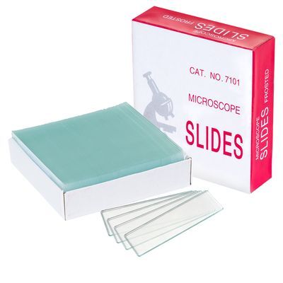 Biologix® Lames de Microscope
