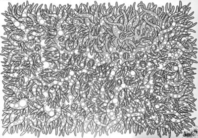 Zillion Circles - Print - A3 Limited Edition 1 of 50 Zillion Circles - Print - A3 Limited Edition 1 of 50