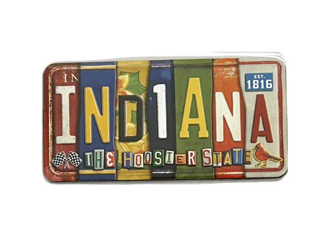 IN LICENSE PLATE MAGNET