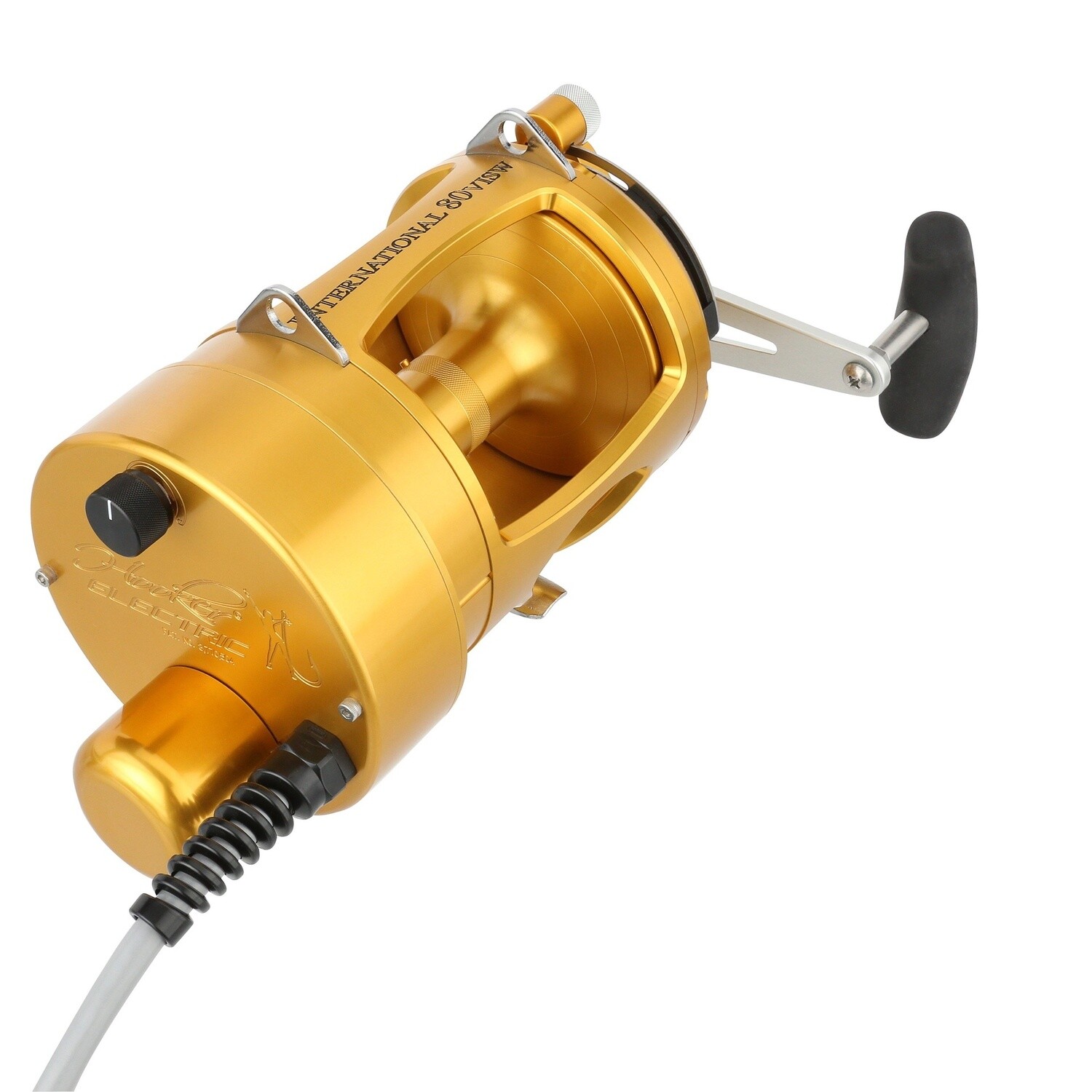 PENN International VI Electric Standard, MODEL: INT50VISWSM