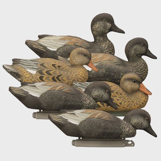 STANDARD GADWALL FOAM FILLED 6PK