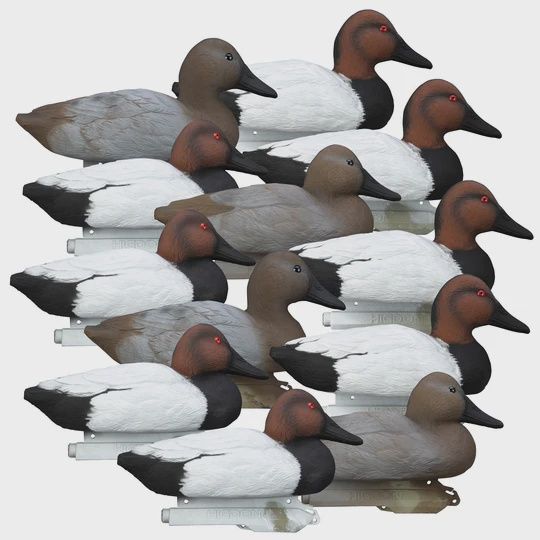 STANDARD CANVASBACK 12PK