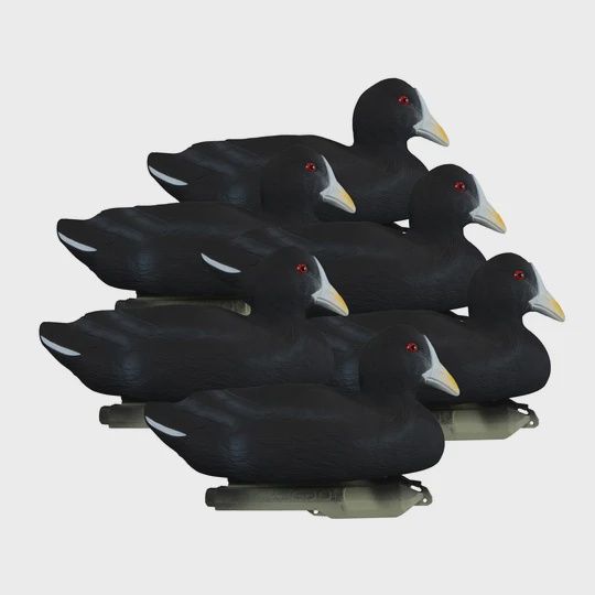 STANDARD COOT FOAM FILLED 6PK