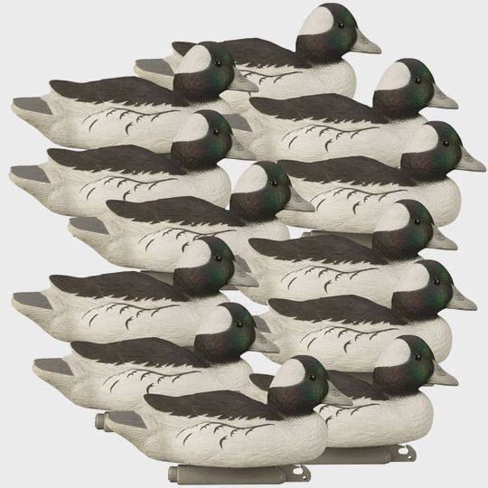 STANDARD BUFFELHEAD FF DRAKES 12PK