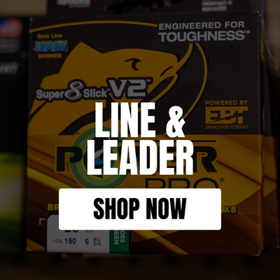 LINE &amp; LEADER