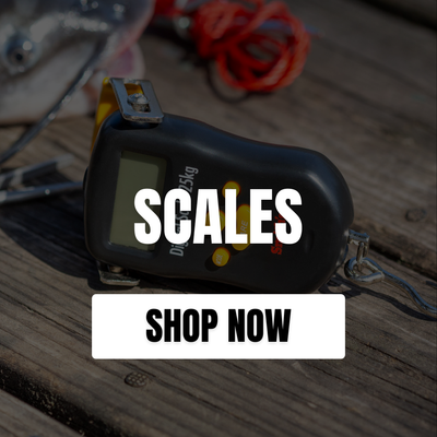 SCALES