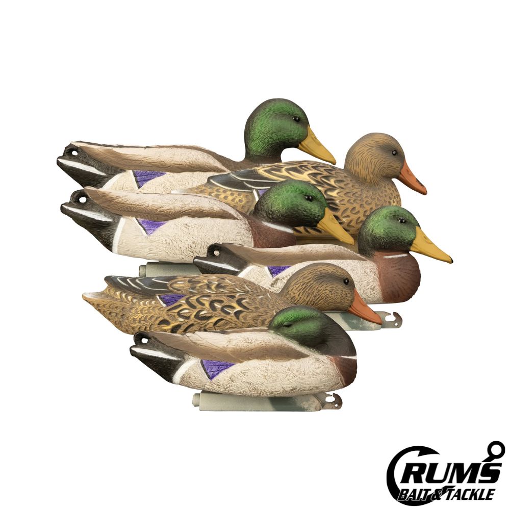 FULL SIZE MALLARD