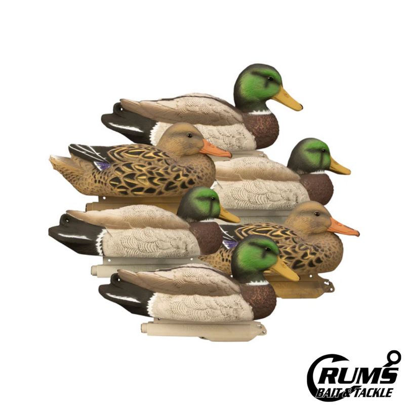 STANDARD MALLARD 6PK