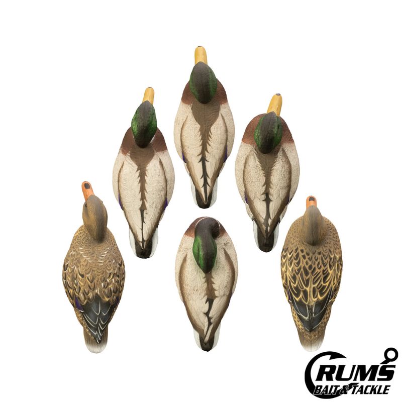 FULL SIZE MALLARD