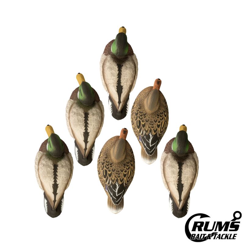 STANDARD MALLARD 6PK