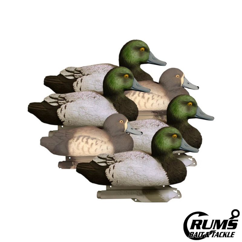 STANDARD BLUEBILL 6PK