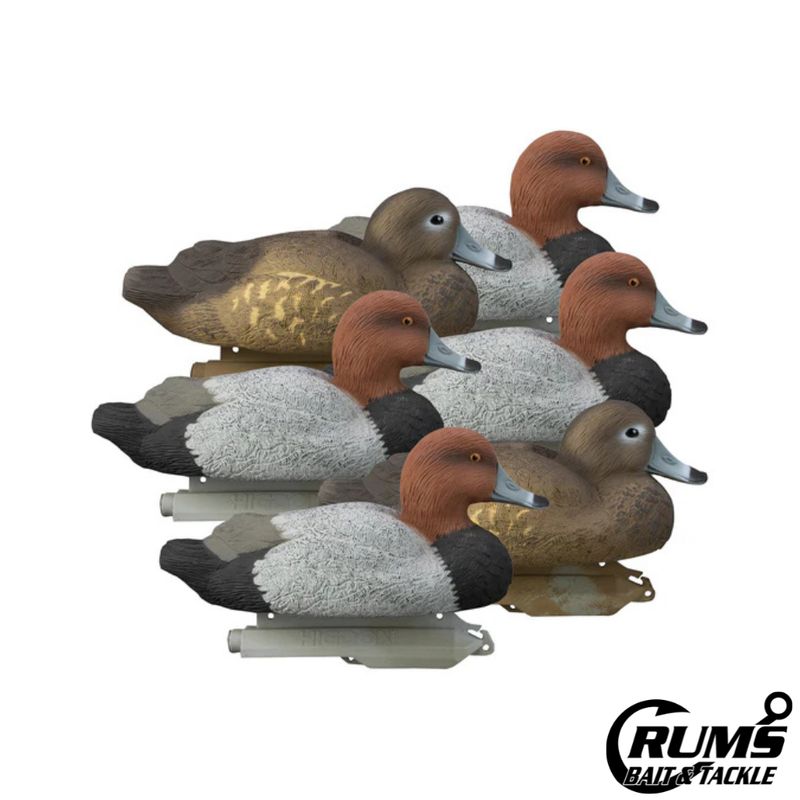 STANDARD RED HEAD 6PK