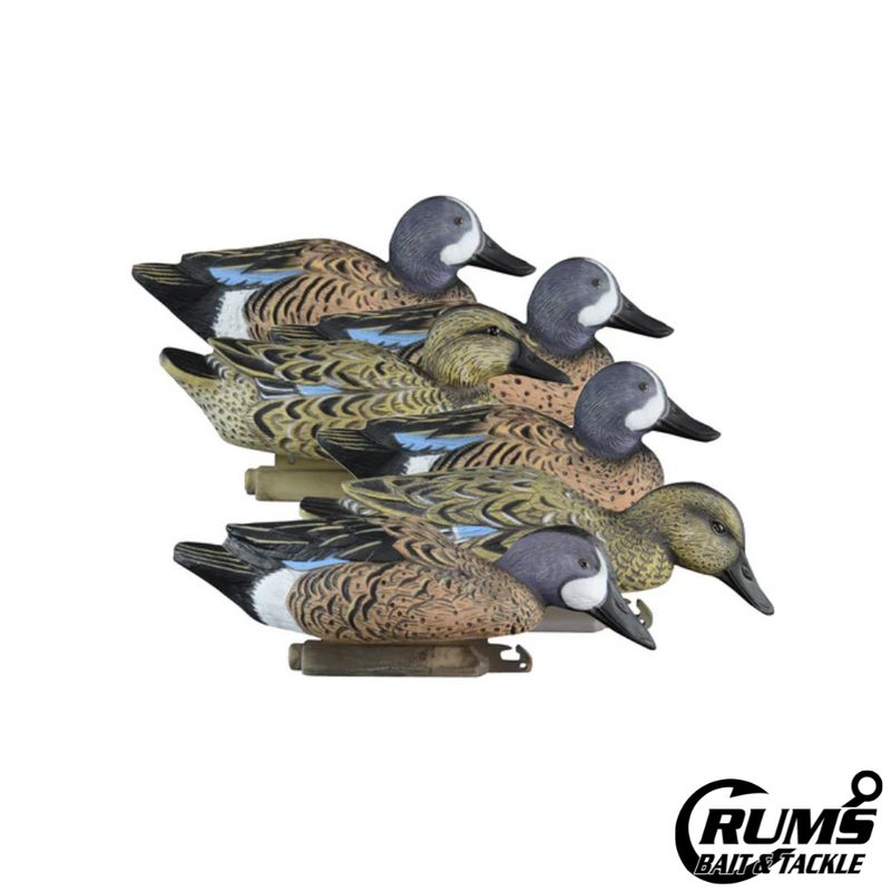 STANDARD BLUE WING TEAL 6PK