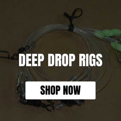 DEEP DROP RIGS