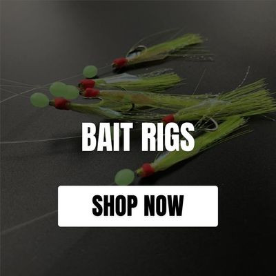 BAIT RIGS