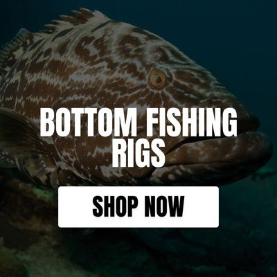BOTTOM FISHING RIGS