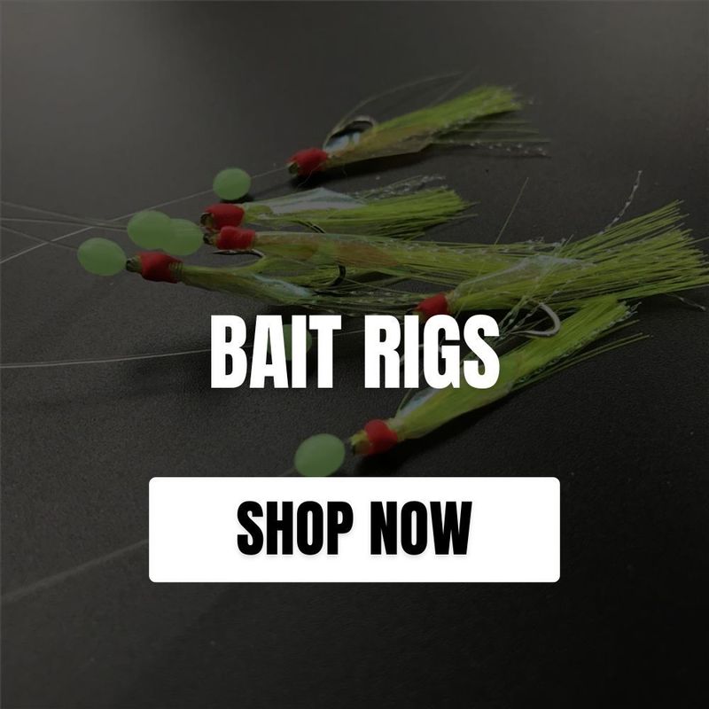 BAIT RIGS