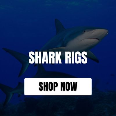 SHARK RIGS