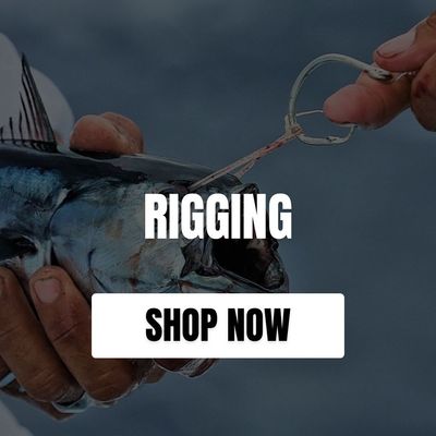 RIGGING