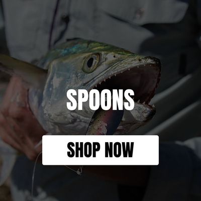SPOONS