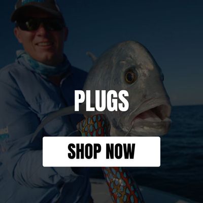 PLUGS