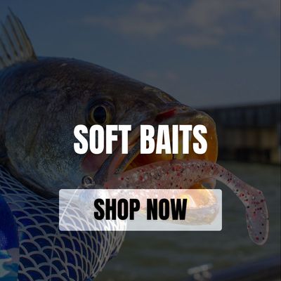 SOFT BAITS