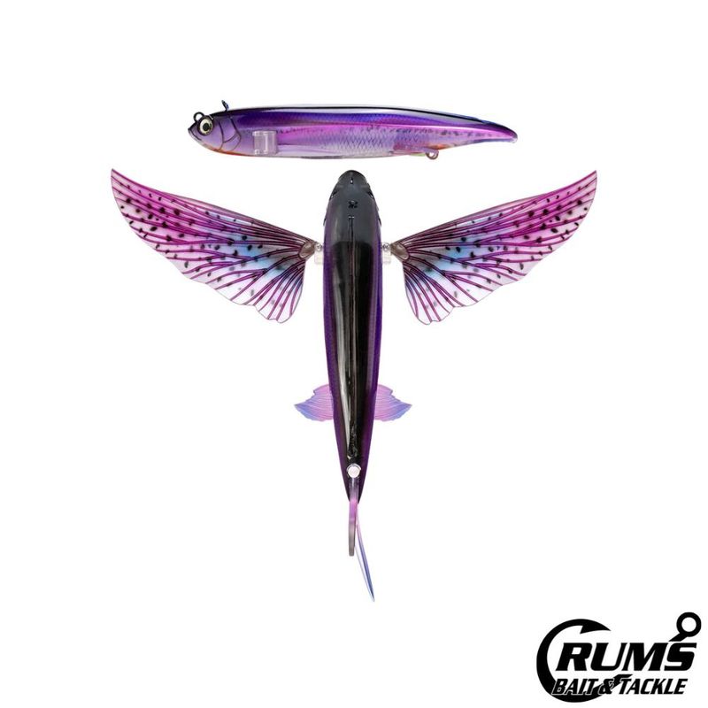 SLIPSTREAM 200 FLYING FISH 8&quot;