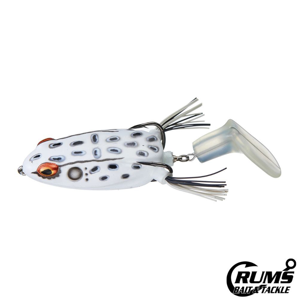 BYTR3904 TOADRUNNER-ALBINO FROG