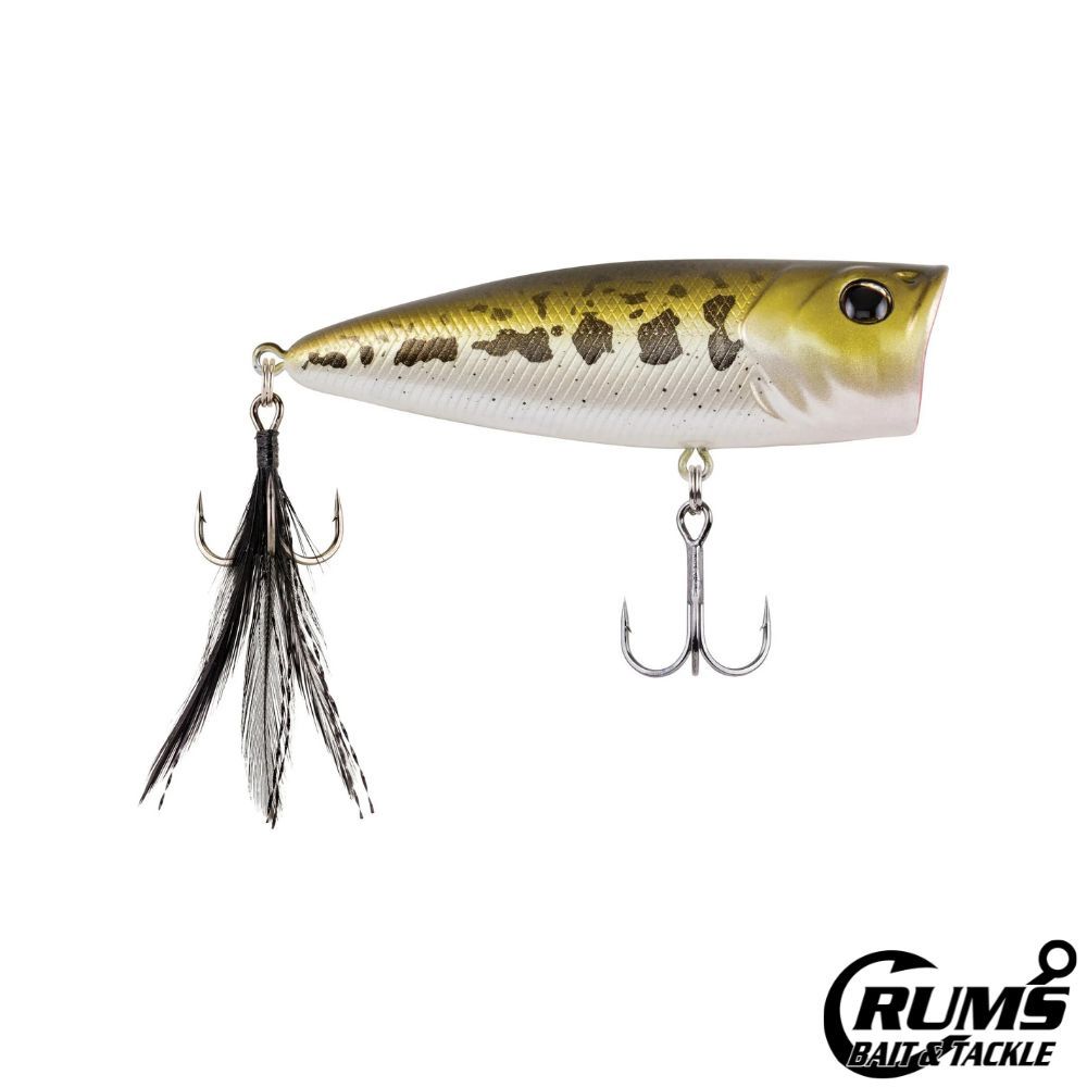 BULLET POP, COLOR: BABY  BASS
