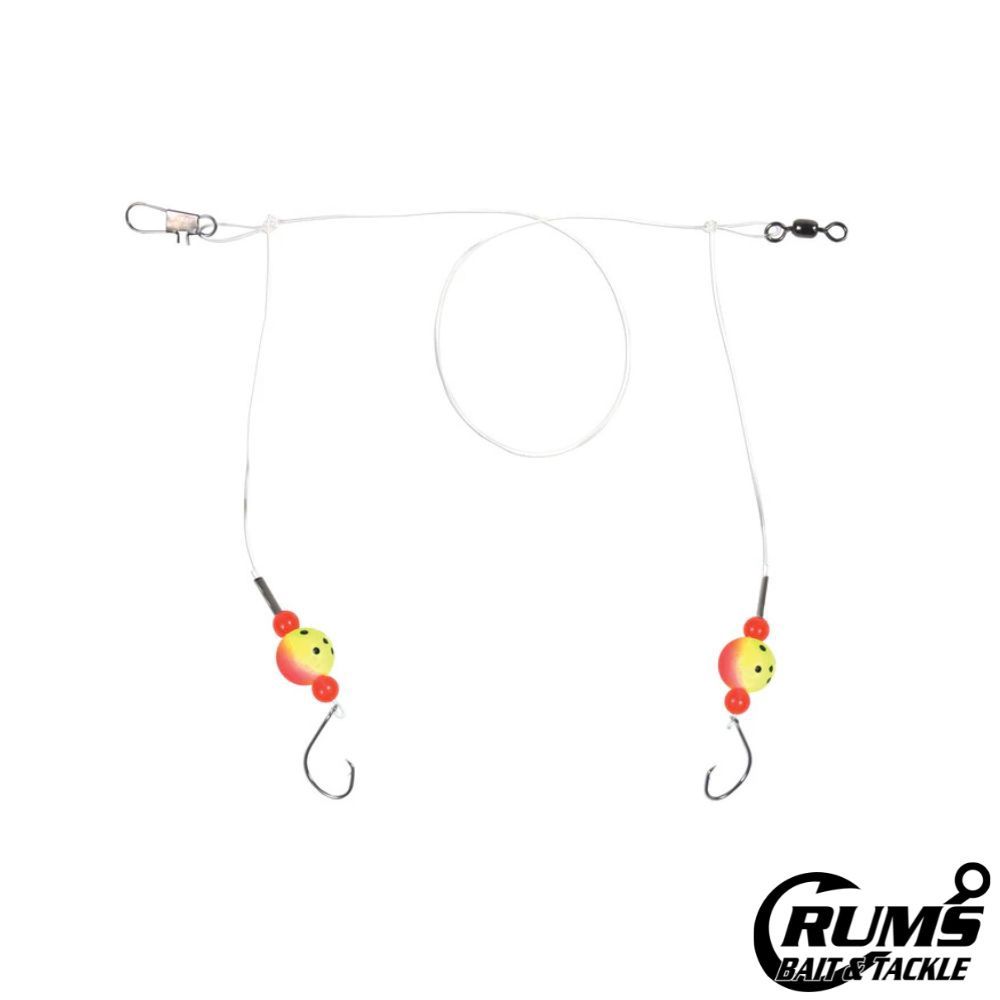 FC-SSSKF-2 SPOT/KINGFISH RIG