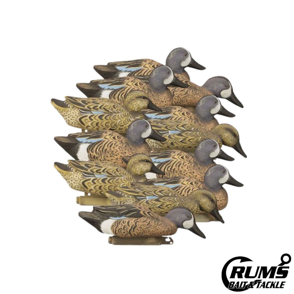 STANDARD BLUE WING TEAL FOAM FILLED 12PK