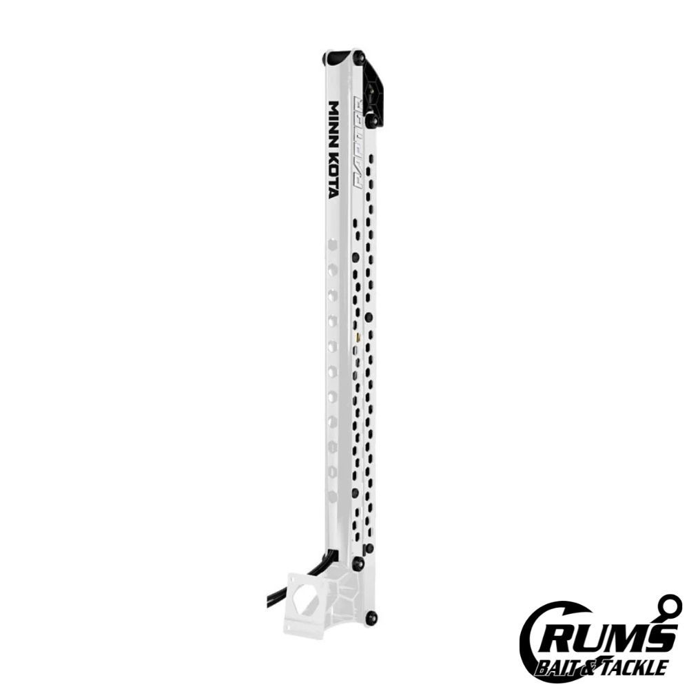 Raptor Shallow Water Anchors White