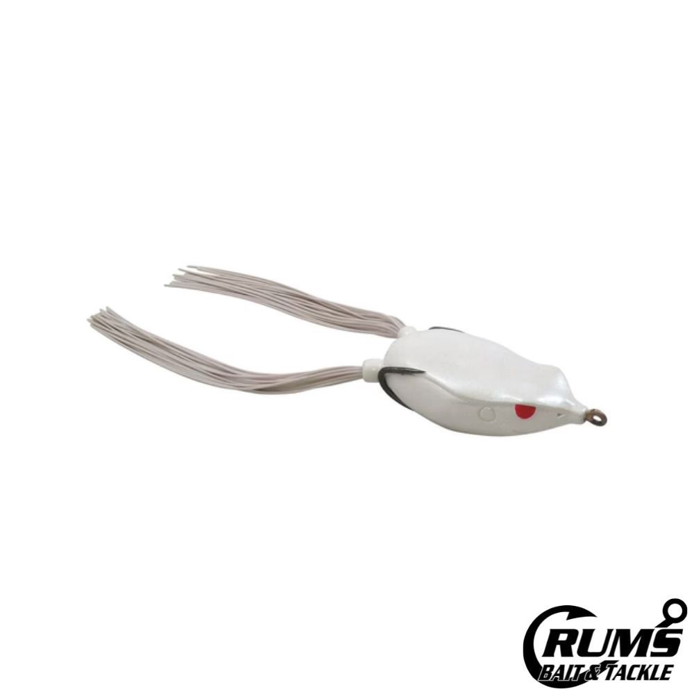 BRONZEYE FROG 65, COLOR: ALBINO