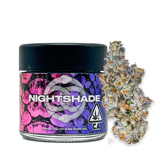 Connected Flower Night Shade