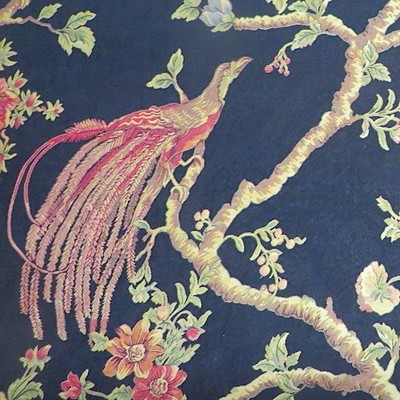 Birds, Animals