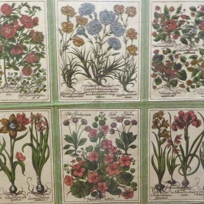 3 yds Botanical Floral Folio Cotton Print New Vintage Multi-purpose Fabric