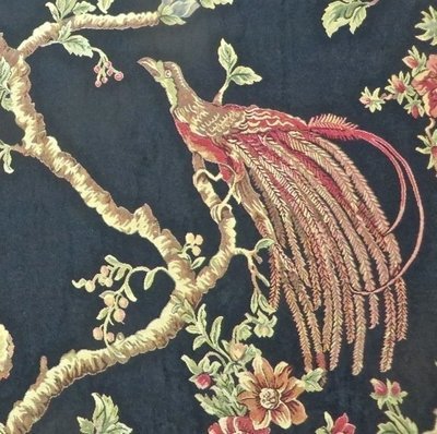 5 yards Striking Bird of Paradise Black Multi Tapestry Upholstery Fabric from Italy