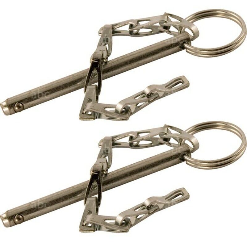 ACCESSORY:  REPLACEMENT LADDER PINS (PAIR)