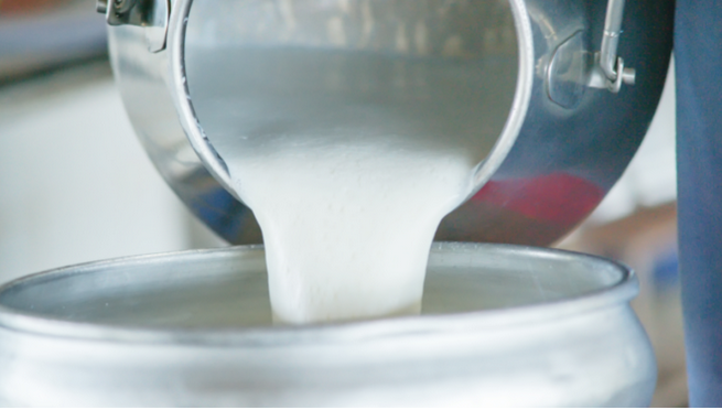 Raw Cows Milk Herdshare