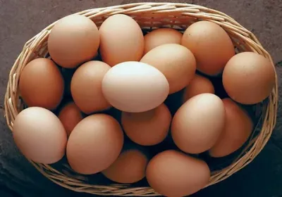 Farm Fresh Chicken Eggs