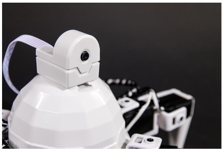 SIX - HEXAPOD Robot Kit