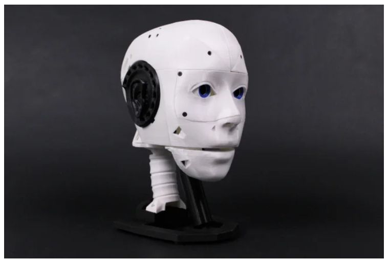 EZ-INMOOV Robot Head (Hardware Kit)