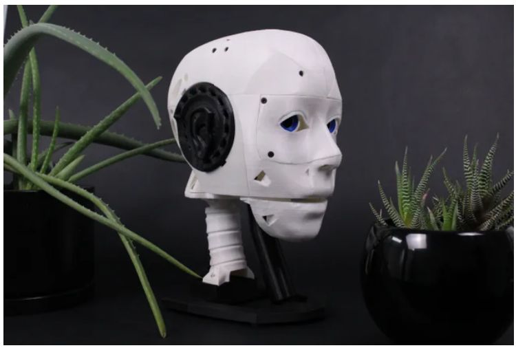 EZ-INMOOV Robot Head (Hardware Kit)