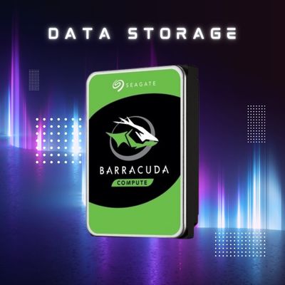 Data Storage