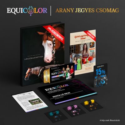 EQUICOLOR színtervezés és webinárium