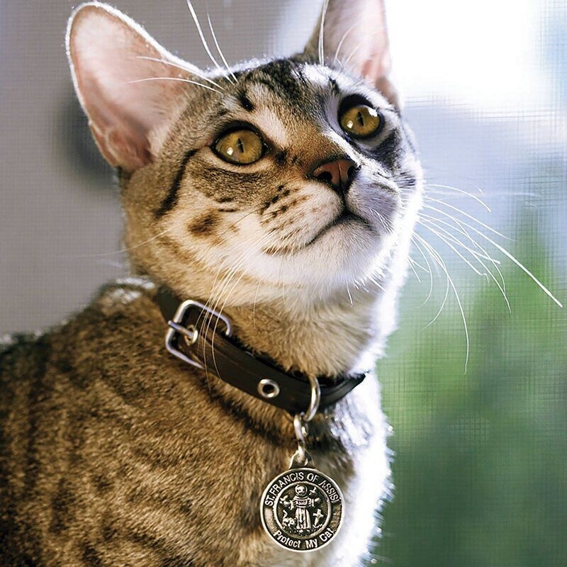 1&#39;&#39; Pet Medal Cat
