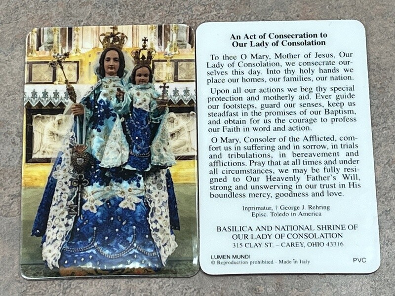 OLC Holy Card PVC